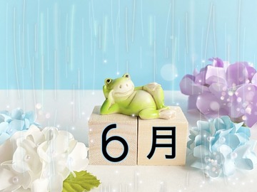 23993436_s