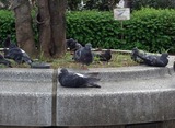 IMG_3312 (1)