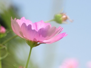 ea919ec61f54b0c20fc71184ee4c3c2c_s