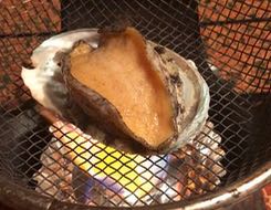 フレーム-19-12-2018-10-15-05 (2)