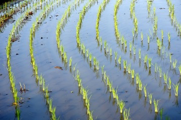 4a37e033fb120fc1e752a1a87d2c7dc7_s