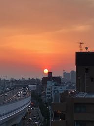IMG_7255