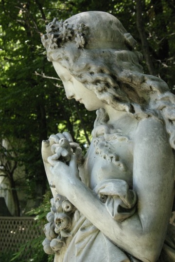 48286408c9c4e368156f10b493368b11_s