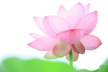 9f063ade2ff0f7069f3013f2d61f4c71_s