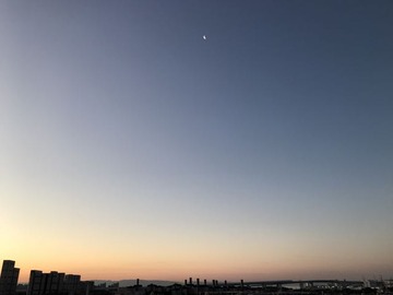 IMG_6932