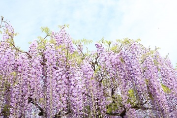 79d5121641ba1e87477b43612a4bbf11_s