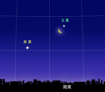 スクリーンショット 2019-02-21 10.57.34