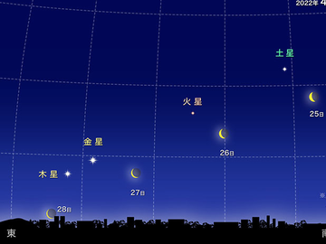 スクリーンショット 2022-03-24 11.47.02