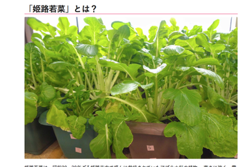 スクリーンショット 2020-04-10 9.11.41