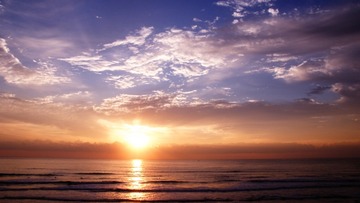 efe5e0a3ec7c2a541e0b1c8cbf4cc08a_s