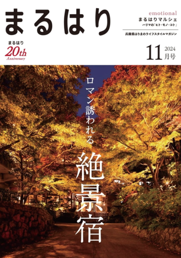 スクリーンショット 2024-10-27 14.55.38