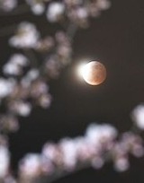 IP150404TAN000261000