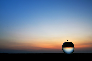 f7adf7a4e3388404eea19ea02d8df94f_l