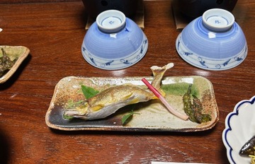 IMG_0591