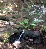 IMG_3976