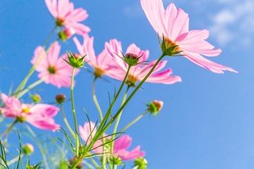 436b6b7284574232f8bde3b39d48b07f_s