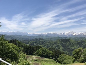 IMG_6351