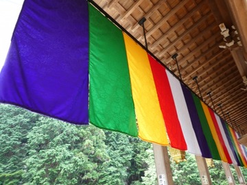 207e7e907adccc191393d61e213f92e8_s