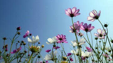 45e42dd35e8a697523b369f4c7bdd38a_s