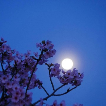 24d1e32c1a7d3becd891dceb66e7a4aa_s