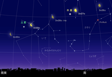 スクリーンショット 2019-02-21 10.58.37