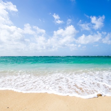 02027e6cb8d7b779716738ee77f5da1c_s