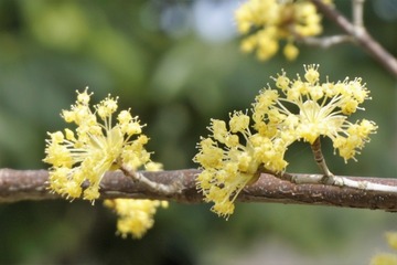 ce4a9b5f2c320460e36039b8780a8fe3_s