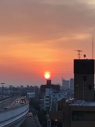 IMG_7257