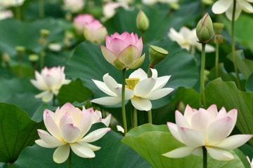 8a06b65f43286886fe076e707a2205fe_s