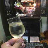 IMG_7681