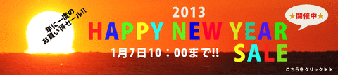 top-sale2012-2013