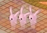 12月28日桃ウサ隊