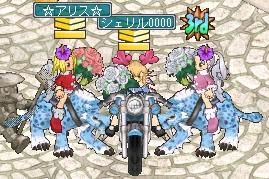 １２月１５日砂漠インス前