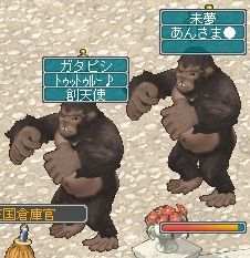 10月7日ゴリぴし