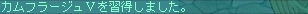 ２月１０日カムフラージュⅤ習得