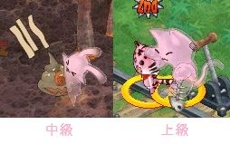10月22日ルイズのペットかわいい