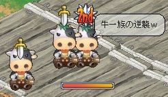 9月3日牛一族の逆襲