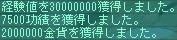 11月24日知略家なネコ報酬