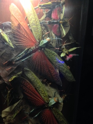 image3(6)