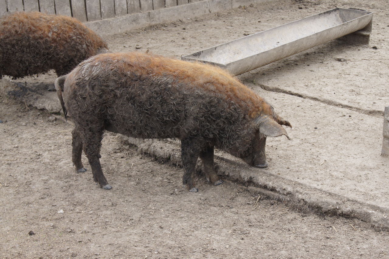 テンションあがる国内探索 その２ 奥様は商社ウーマン