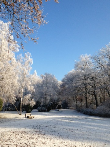 image1(8)