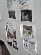 獣医さん内