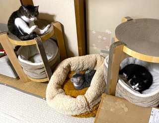 ����å��ǳ���