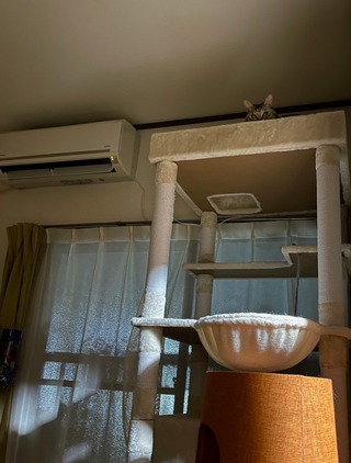 ����å��ǳ���