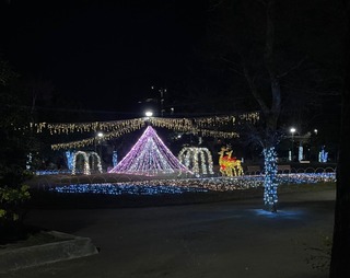 ����å��ǳ���