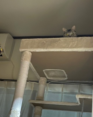 ����å��ǳ���