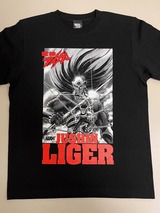 ����å��ǳ���