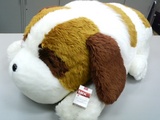 �衼����