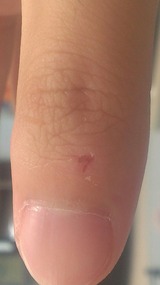 ����7�ߤ����ʥ����֥��Ǥ���