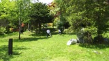 9a460f02.jpg